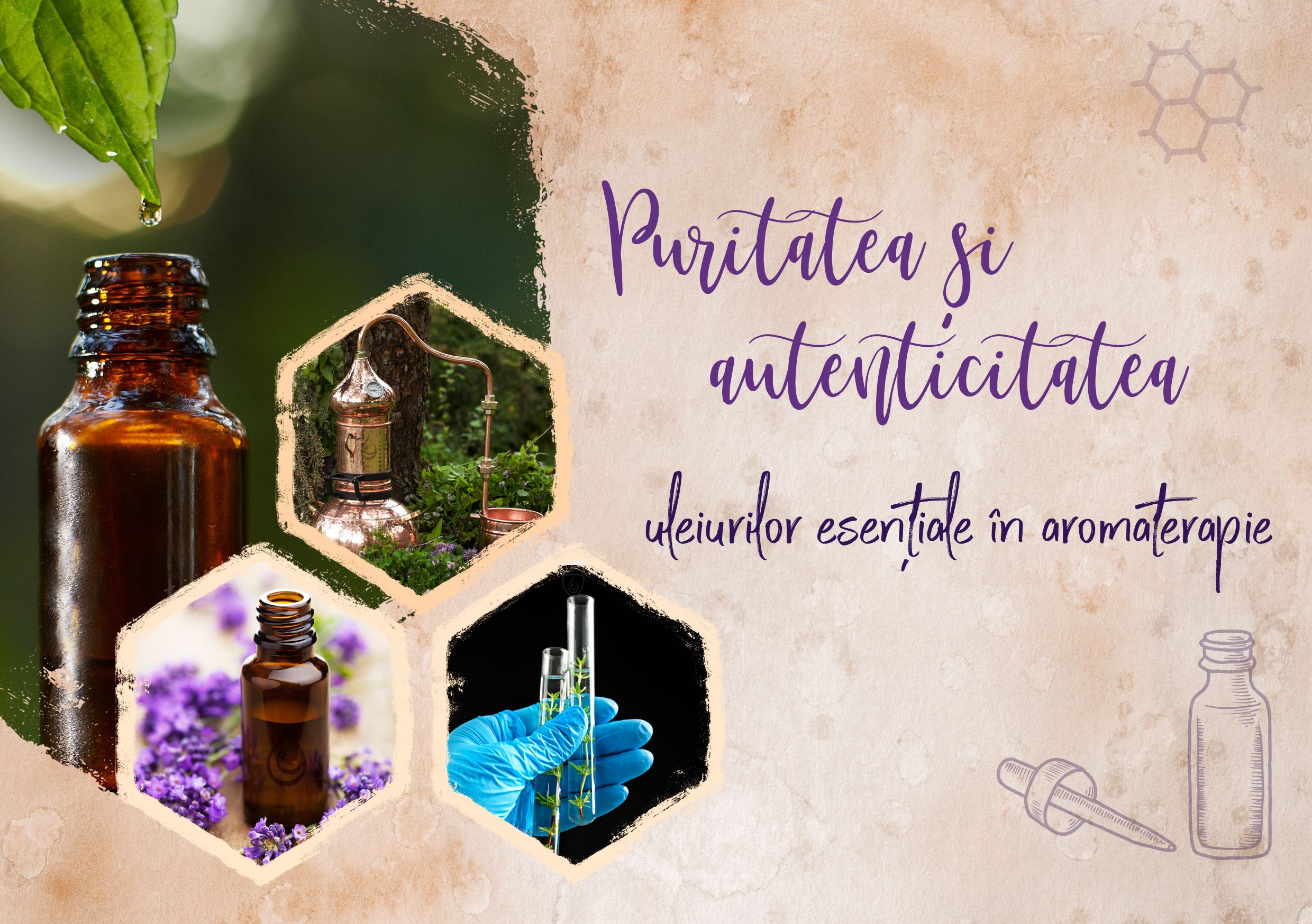 Purity and authenticity of essential oils in aromatherapy