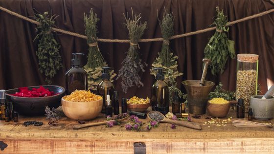 Uleiuri esențiale, plante și ciuperci pentru sănătate naturală
